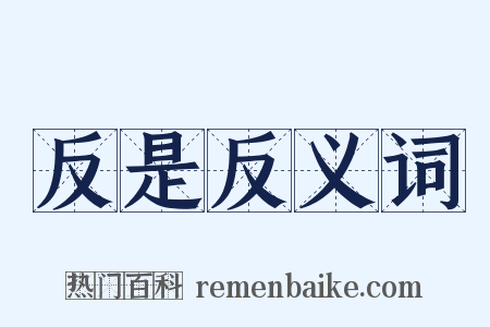 反是反义词是什么意思的图片